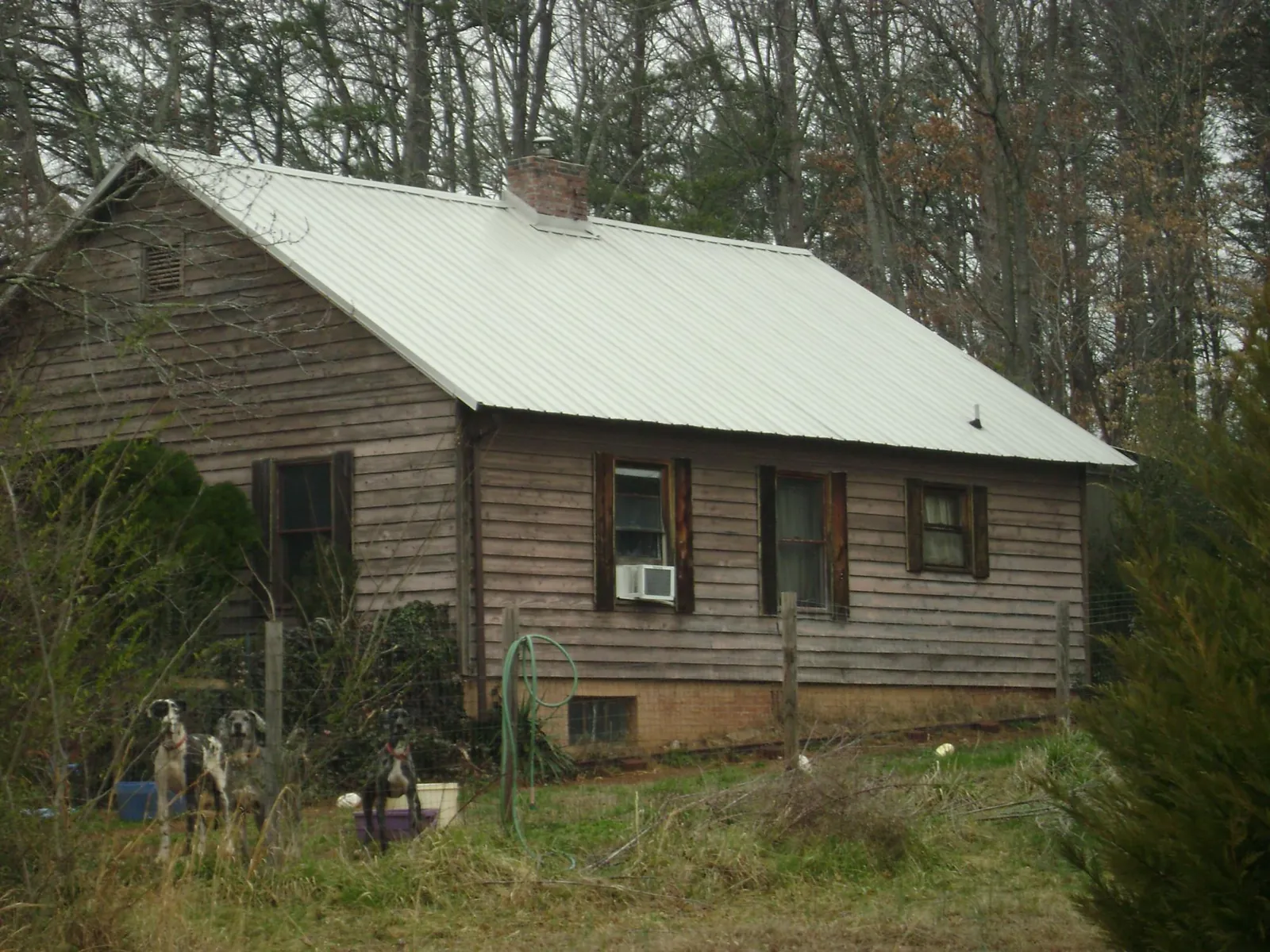White metal roof on an old wood sided farmhouse, from a Asphalt Shingle Roof Repair job in Ferdinand